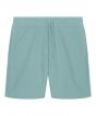 Teal Monstera Colour Sample