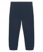 French Navy Colour Sample