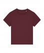 Burgundy Colour Sample