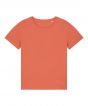 Fiesta Colour Sample