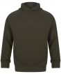 Olive Green Colour Sample