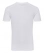 White Colour Sample