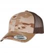 Arid/Brown Colour Sample