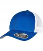 Royal/White Colour Sample