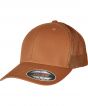 Caramel Colour Sample