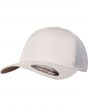 Silver Colour Sample