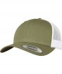 Buck/White Colour Sample
