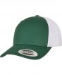 Evergreen/White Colour Sample