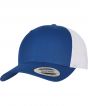 Royal/White Colour Sample